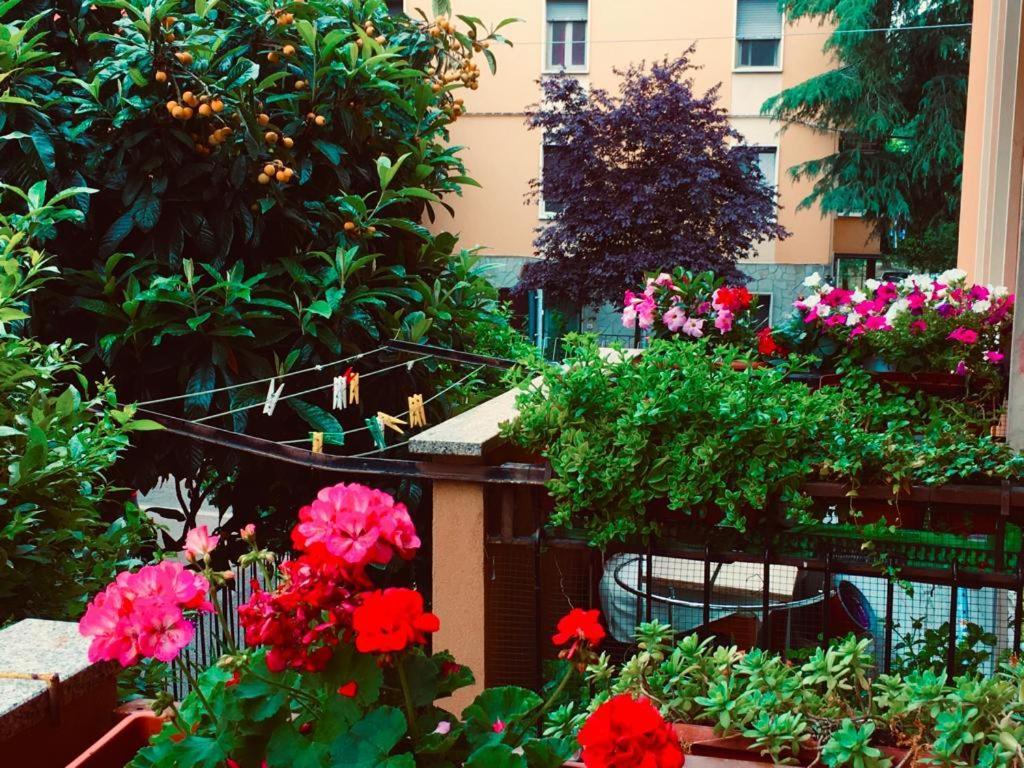 Casa Asia Bologna Kültér fotó